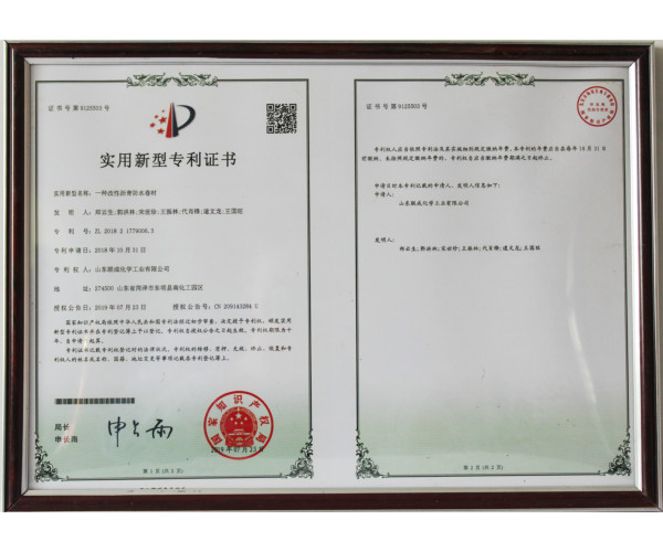 專利6