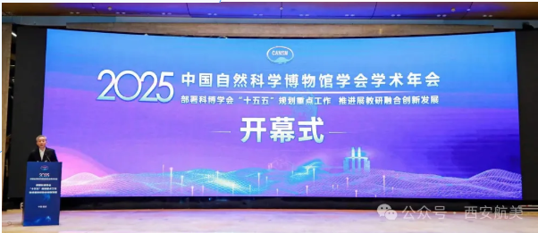 1765357091486876.png image.png